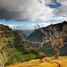 Summer landscape at Waimea canyon