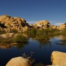 Joshua Tree Barker Dam