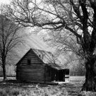 Pioneer Cabin
