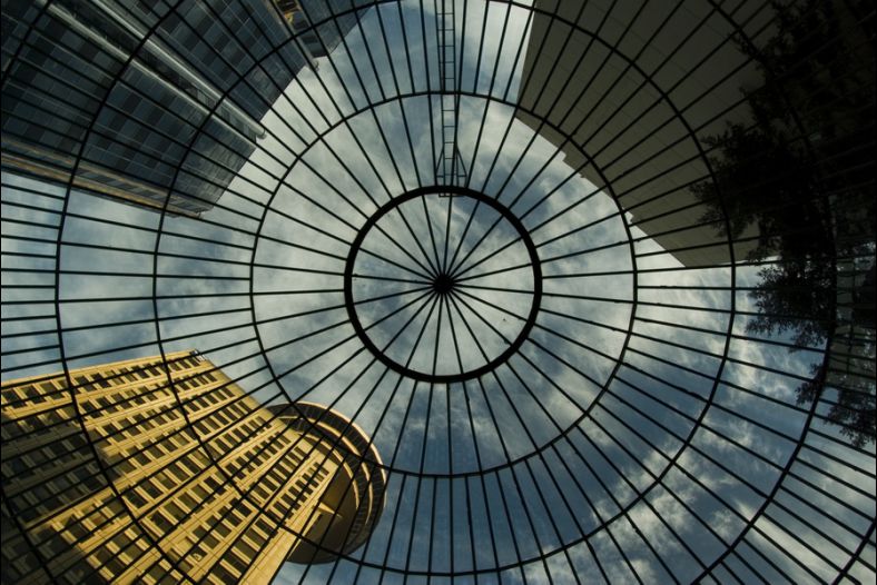 Looking Up