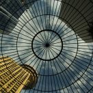 Looking Up