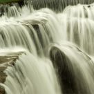 Force of nature