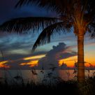 Coral Cove Sunrise 1