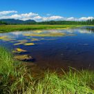 Bass Harbor Marsh