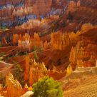 Afternoon light in Bryce Canyon