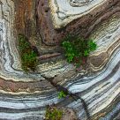 Growth on marble