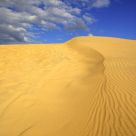 Up the Dune