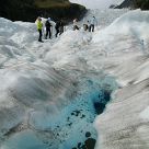 Fox Glacier