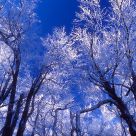 Hoar-frost