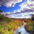 Scoppernong River