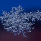 Frost fractals