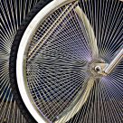 Bicycle Wheels