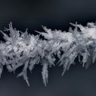 Frost