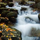 Boone Fork