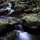Stream in the Blue Ridge