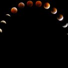 Moon Eclipse