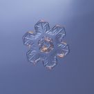 Snow crystal