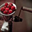 Gothicberries