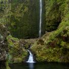 Caldeirao Verde