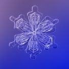Snow crystal