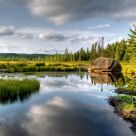 Opeongo Marsh - Algonquin Park
