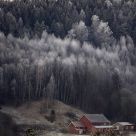 Cold day at the farm