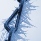 Spiked Chain