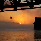 under the bridge