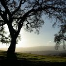 California Winter