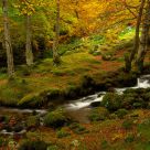 OtoÃ±o