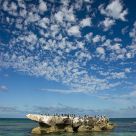 Trigg Island