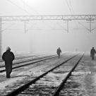 wanderers