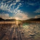 Sunset Shadows