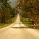 Moody fall day