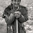 The friendly Shepherd