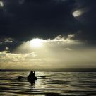 Nature's Light