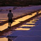 Saltpan