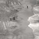 Traces
