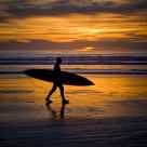 Sunset Surfer
