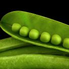 Peas in green