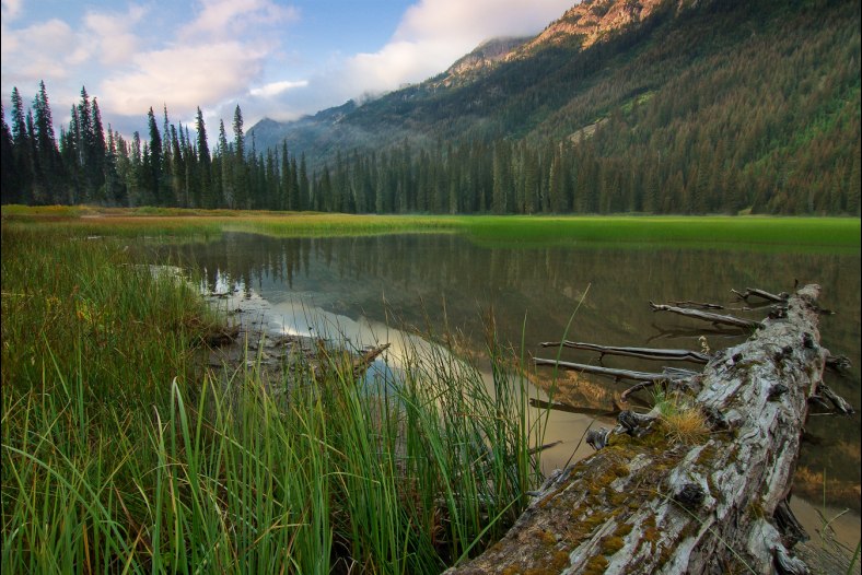 Dawn at Tucquala Lake