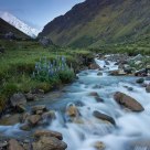 Mountain Stream