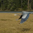 Amazing flight...