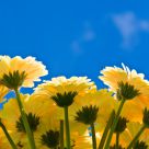 Spring is in the air!