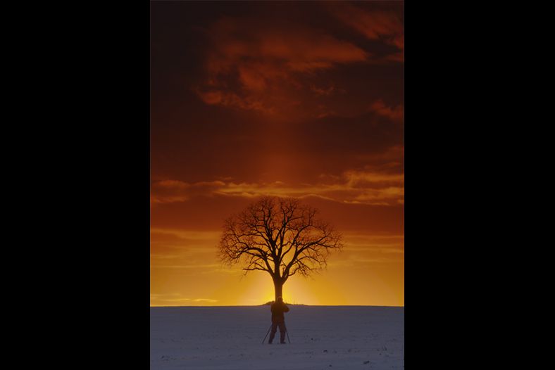 a photographer and a tree