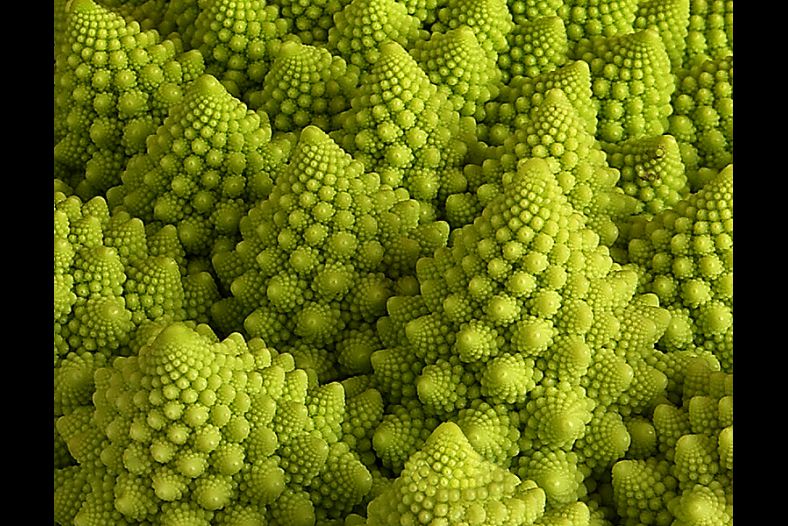 Detalle Romanescu