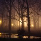 scary trees