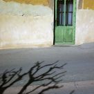 Shadow