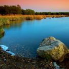 Guelph Lake