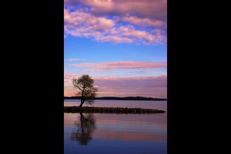 Rooted in water